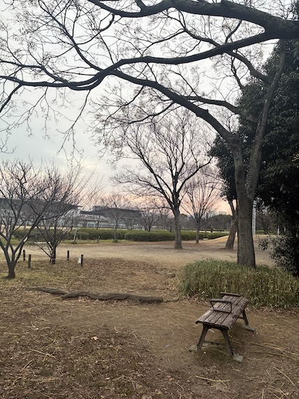 練習場所 梅小路公園